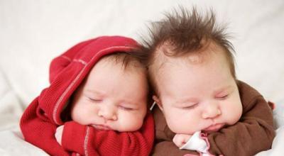 Почему рождаются близнецы?