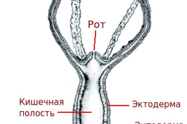 Kraken ссылка tg