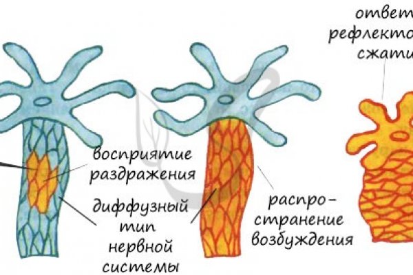 Купон кракен даркнет