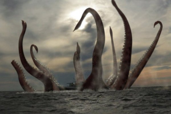 Kraken cc зеркало kr2web in