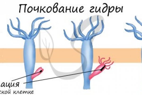 Кракен зеркало сайта vtor run